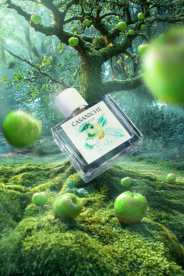 Eva Casa Niche 50ml