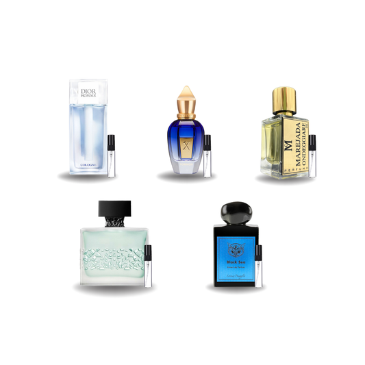 SET DESCUBRIMIENTO - TOP 5 Masculinos Verano