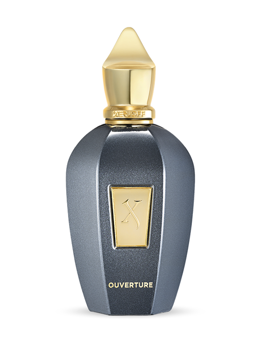 Xerjoff Overtube 100ml